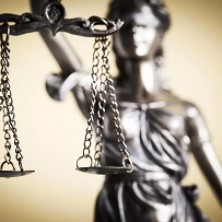 Более 40 судебных заседаний по защите прав предпринимателей прошли с поддержкой челябинского бизнес-омбудсмена
